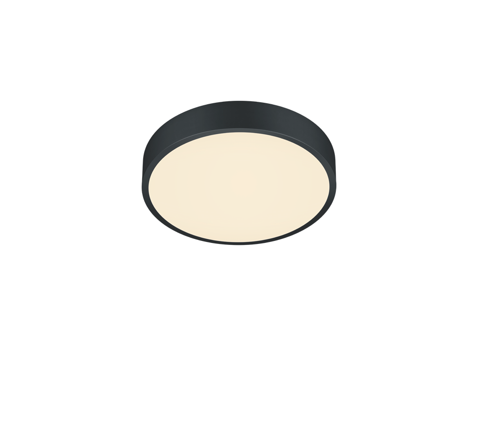 Waco LED ceiling lamp 30 cm matt black — 627413032