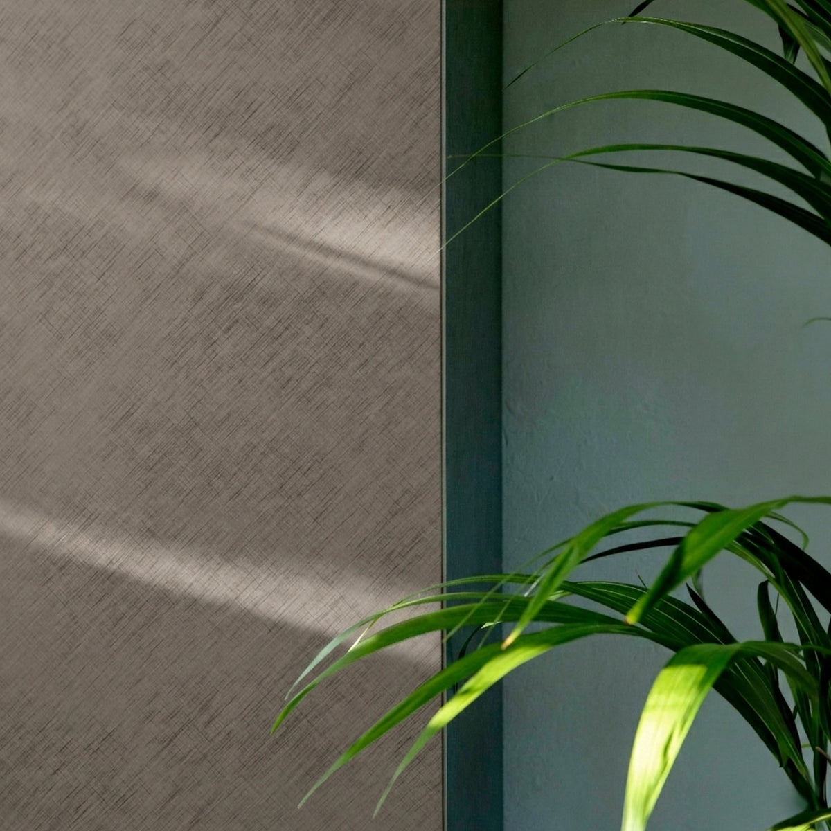 Coated — Tonin Casa
