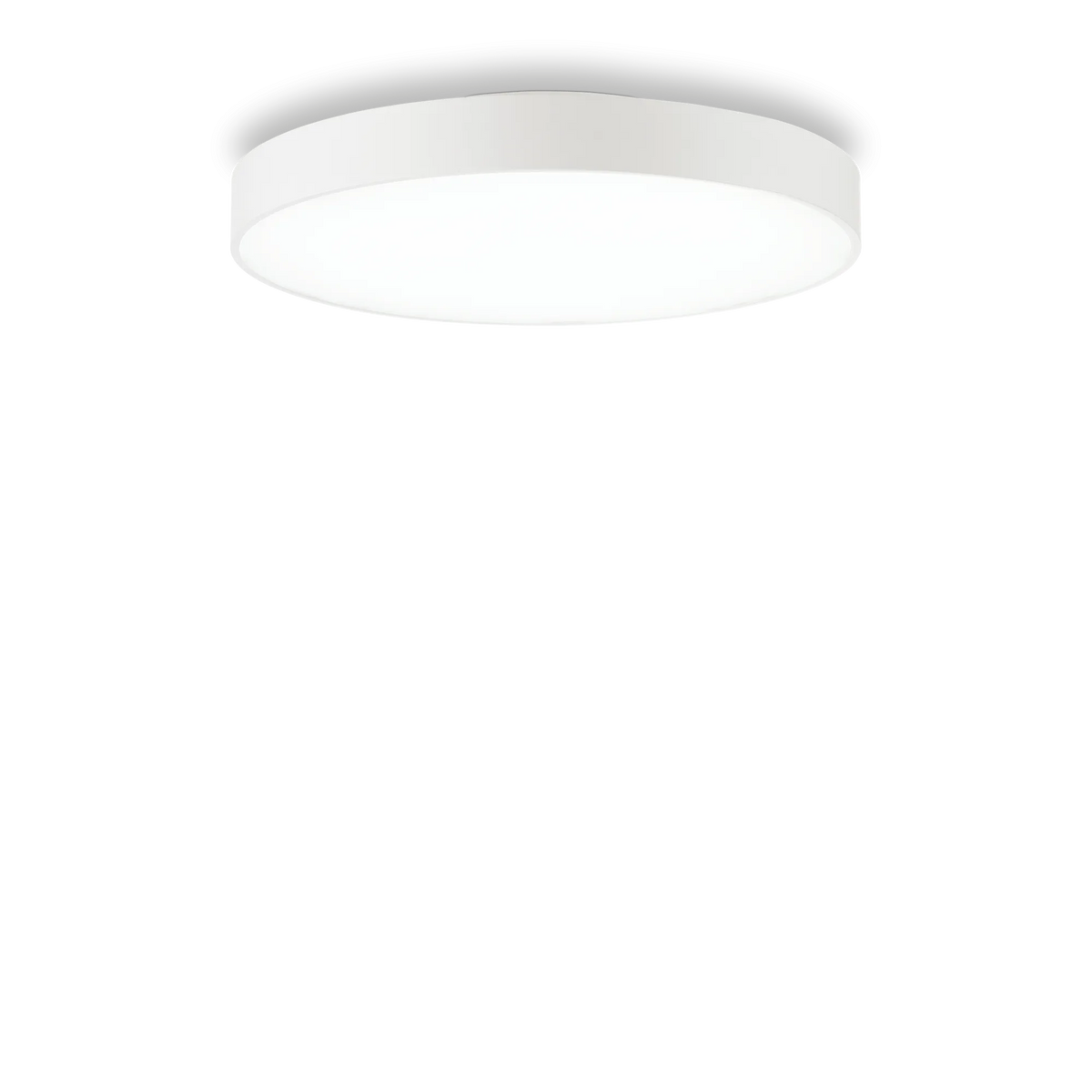 Ideal Lux Ceiling Light HALO PL D45 — manufacturer article 223209