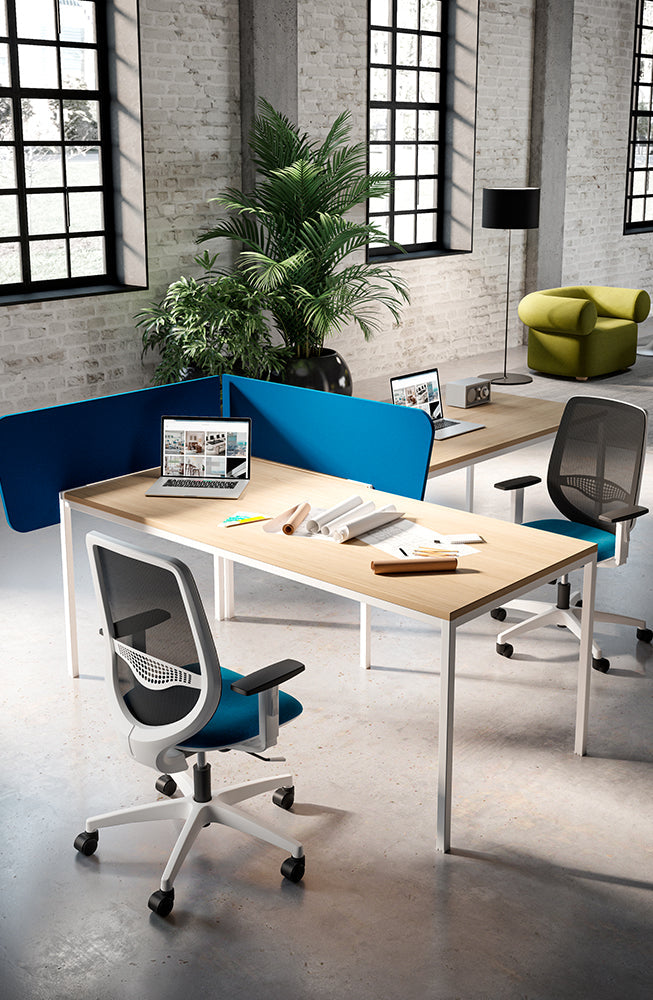 Quadrifoglio Okay chair, upholstered back