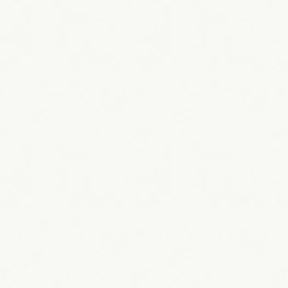 finish::Frame finish::White — metal (0108)