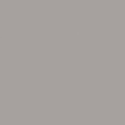 finish::Frame finish::Ice Grey — metal (0124)