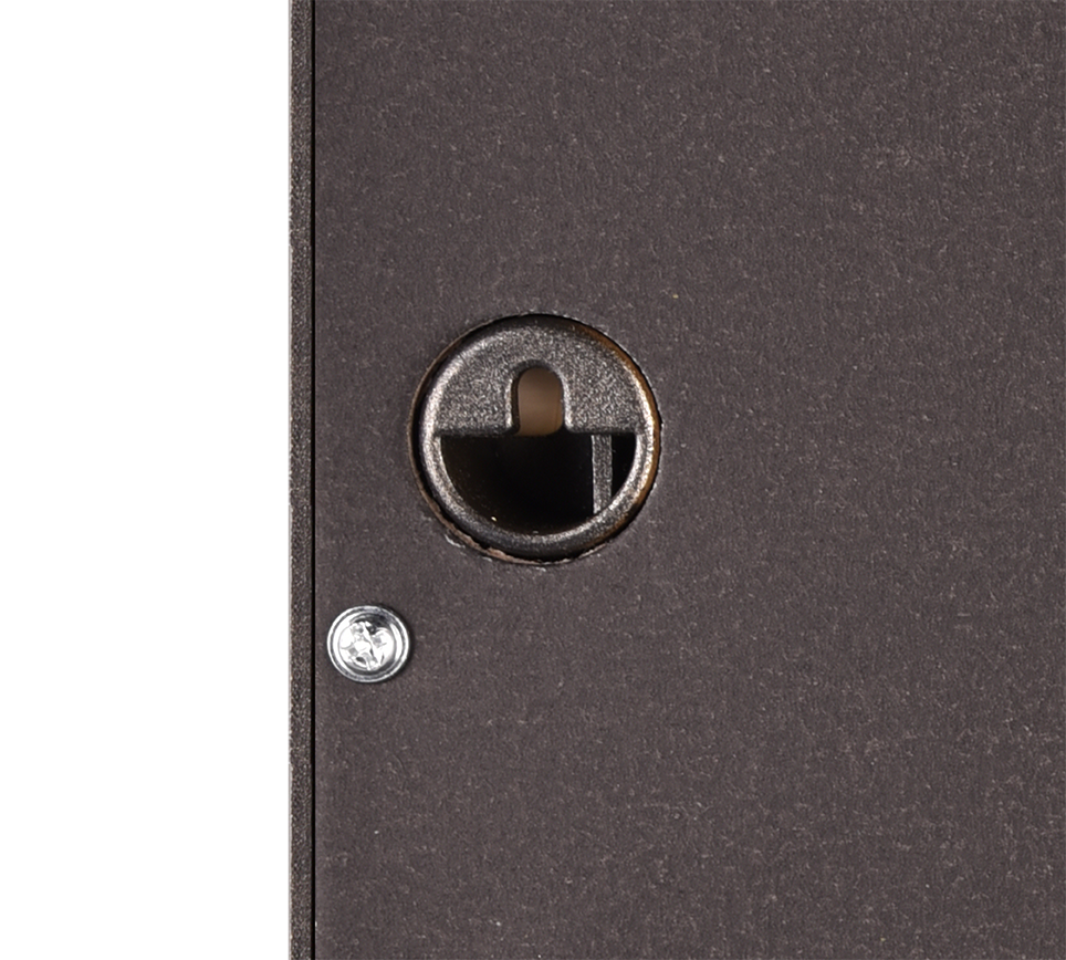 Moni mirror 20 x 100 cm gold