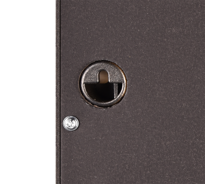 Moni mirror 20 x 100 cm gold