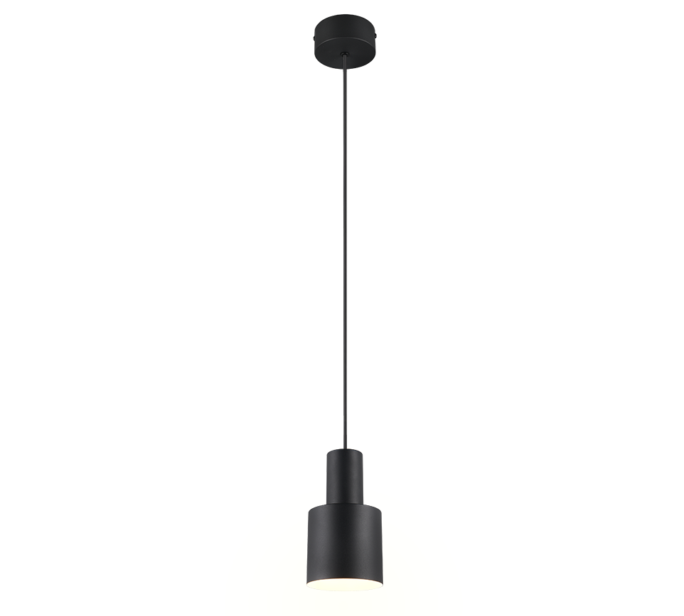 Agudo pendant 1-pc E27 matt black — 319400132