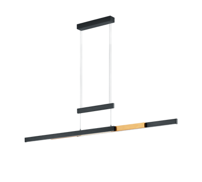 Trajan LED pendant matt black/matt brass — 375310502