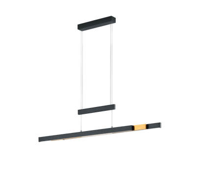 Trajan LED pendant matt black/matt brass — 375310502