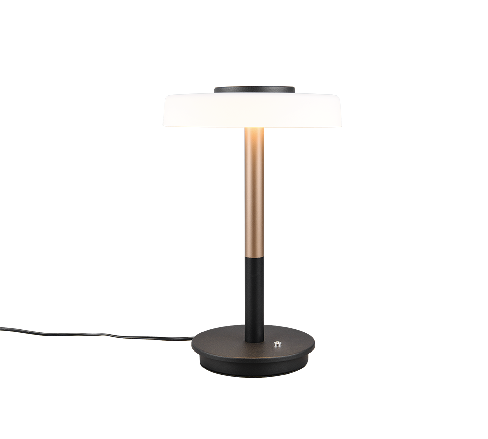 Celeste LED table lamp matt black/white/coffee brown — 554910165
