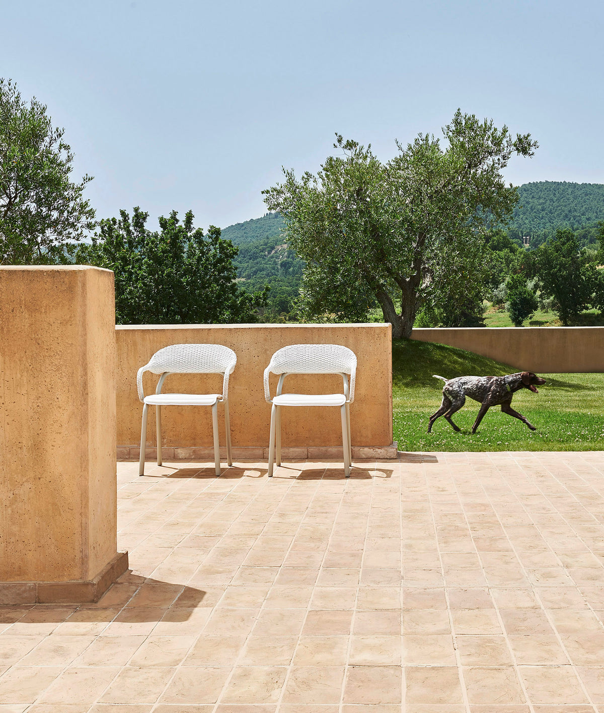 Varaschin Noss Dining armchair
