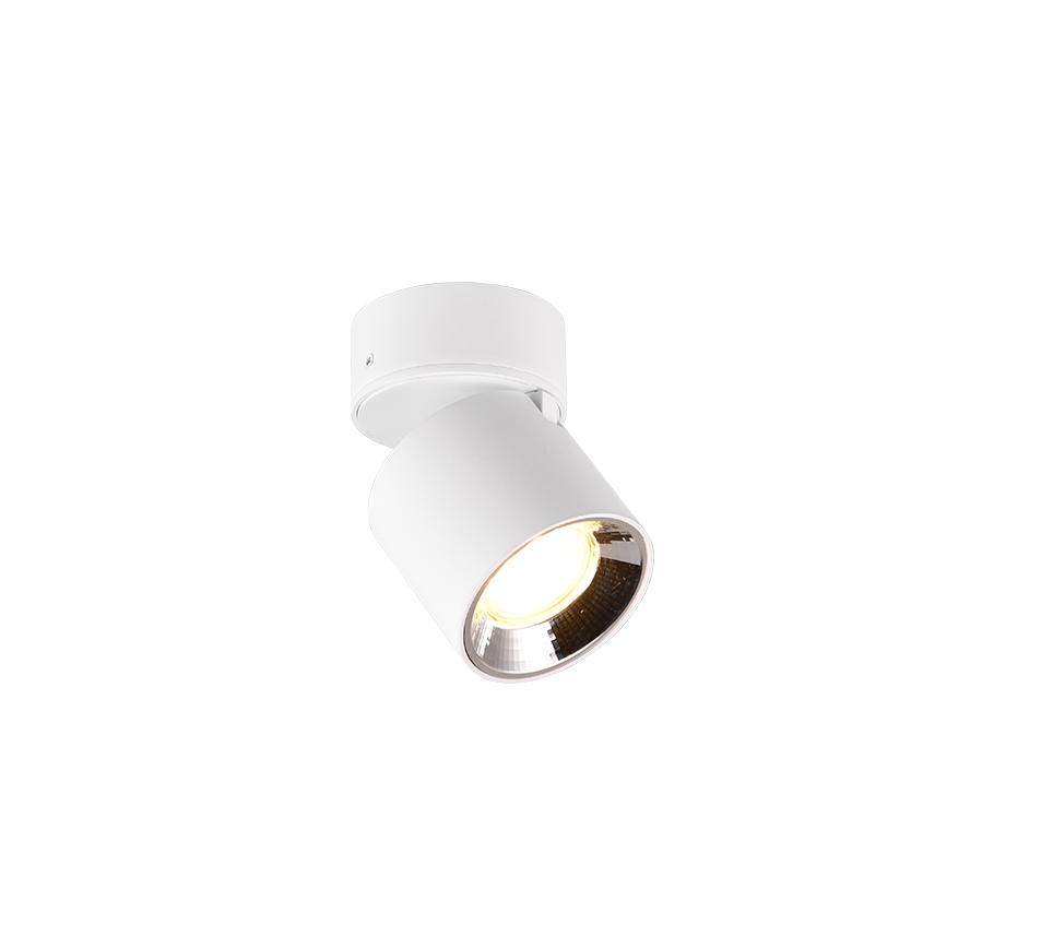 Guayana spotlight 1-pc GU10 matt white — 651000131
