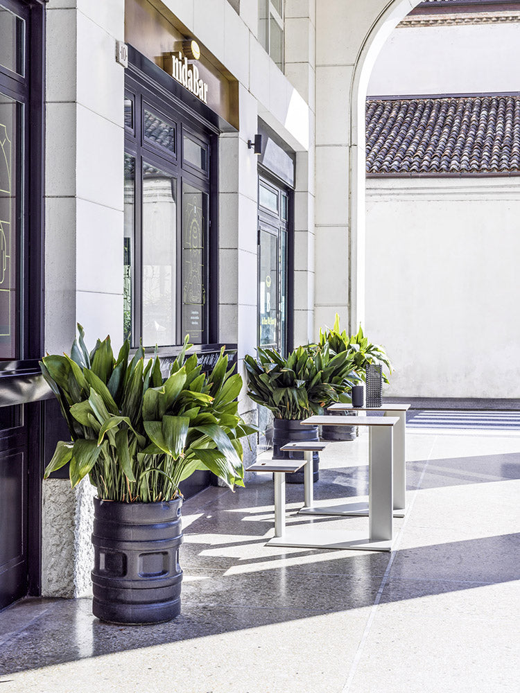 Varaschin Plinto Sit & Eat