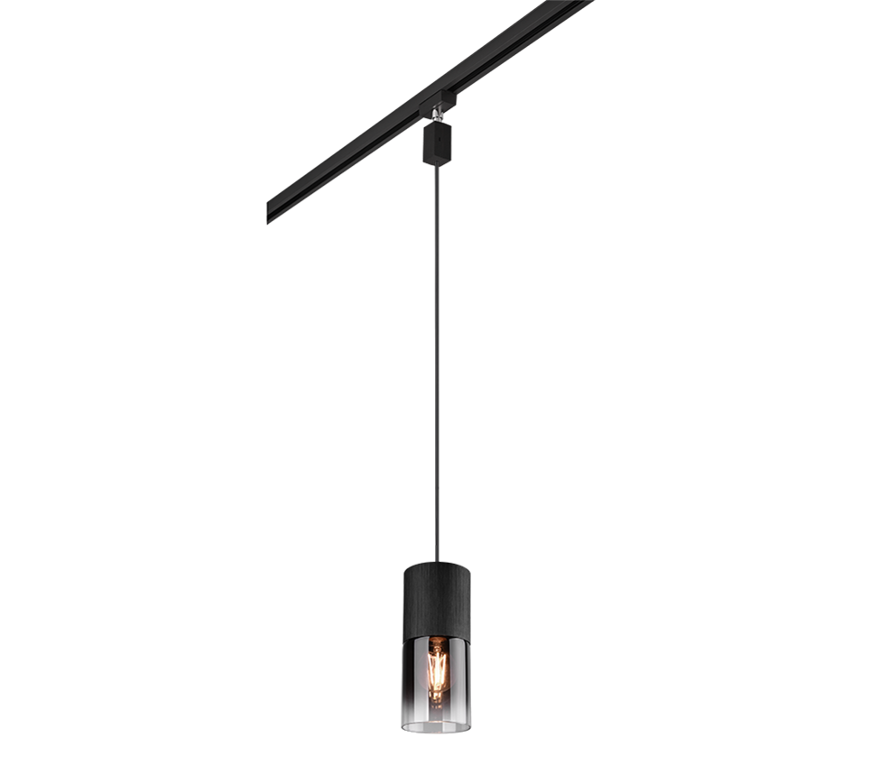 DUOline Robin pendant 1-pc E27 matt black — 73060132