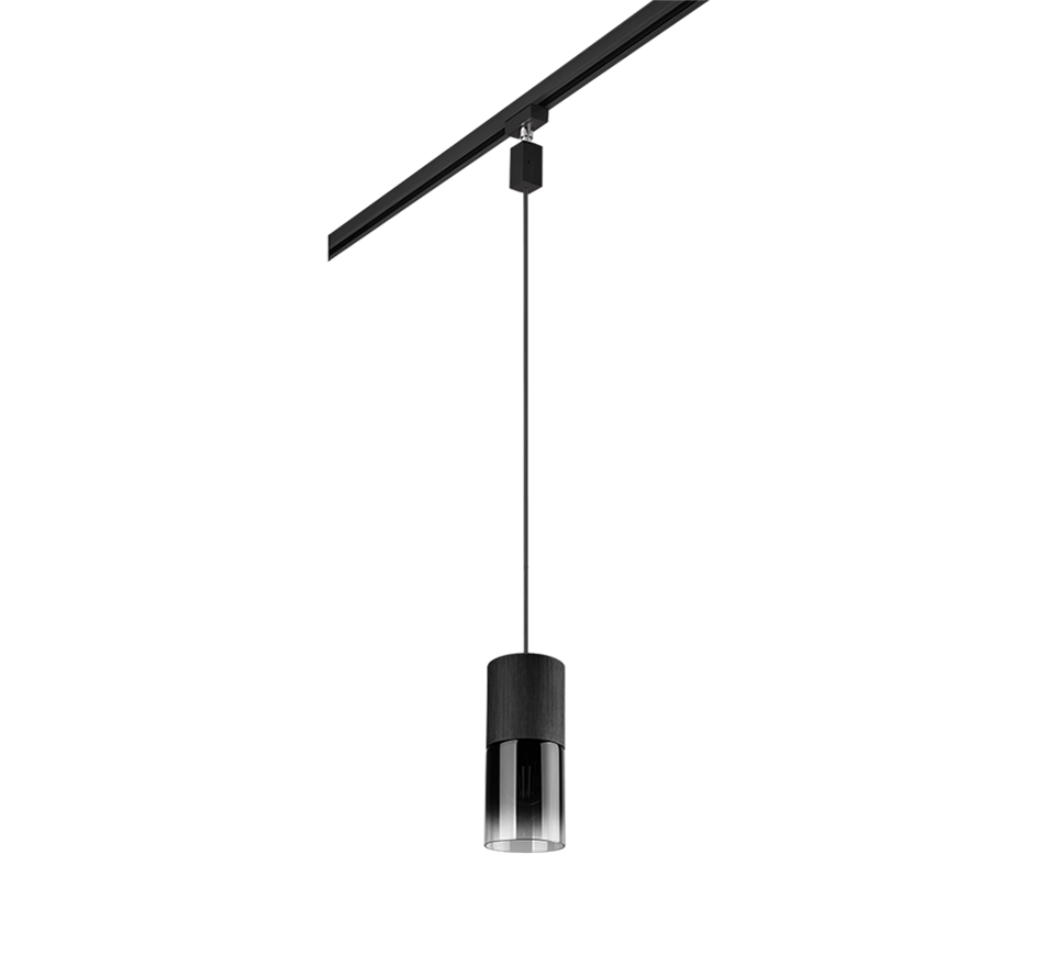 DUOline Robin pendant 1-pc E27 matt black — 73060132