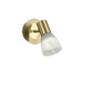 Levisto spotlight 1-pc E14  matt brass — 871010108