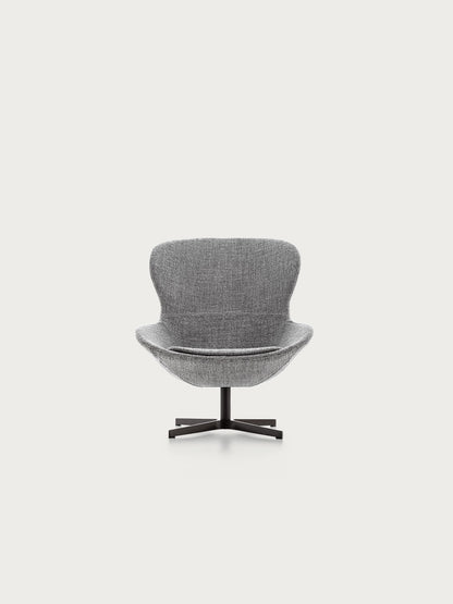 Ditre Italia Round — manufacturer photograph