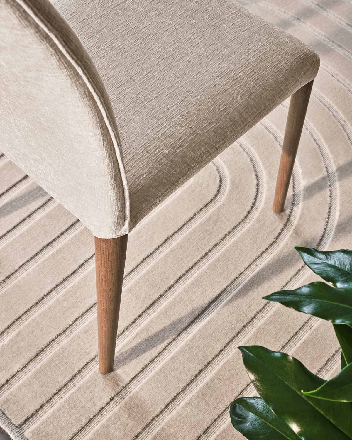 Calligaris Chair Fay