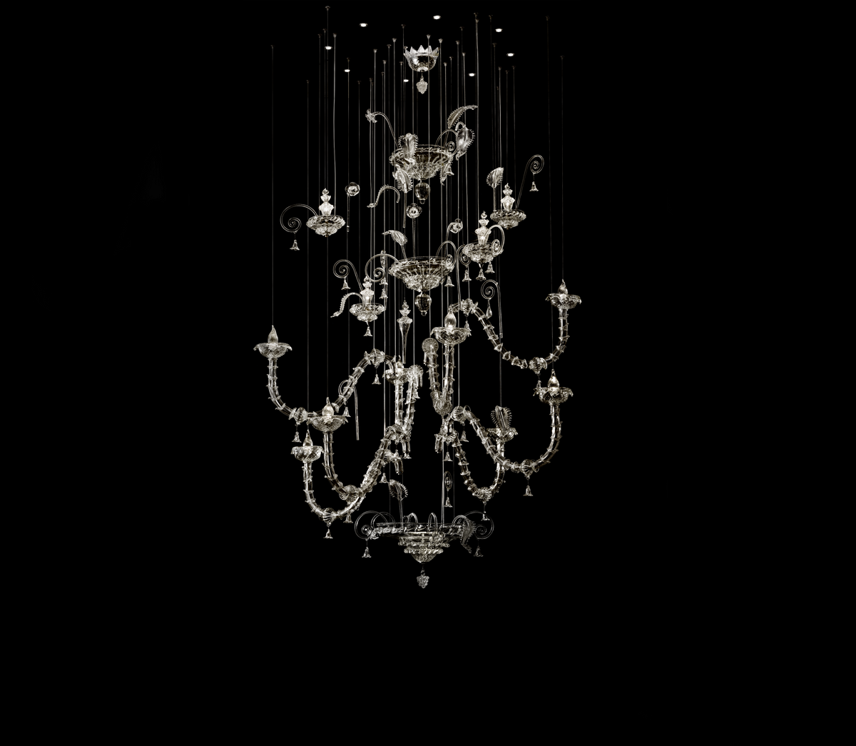 MOLECOLARE — Reflex