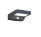 Fomosa solar wall lamp anthracite motion sensor — R22281142