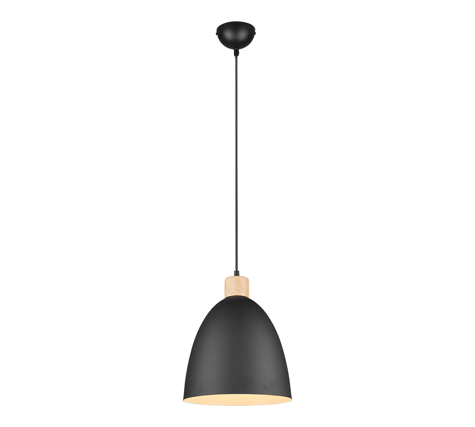 Jagger pendant 25 cm E27 matt black — R30681032