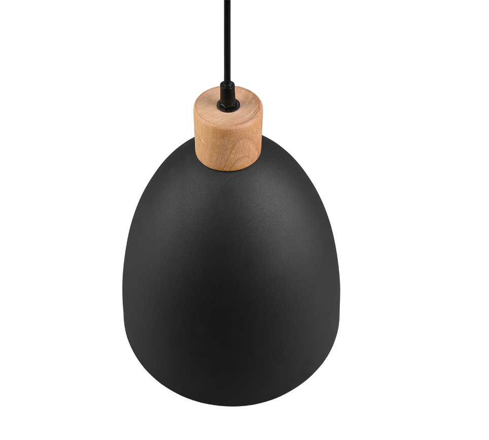 Jagger pendant 25 cm E27 matt black — R30681032