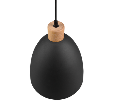 Jagger pendant 25 cm E27 matt black — R30681032
