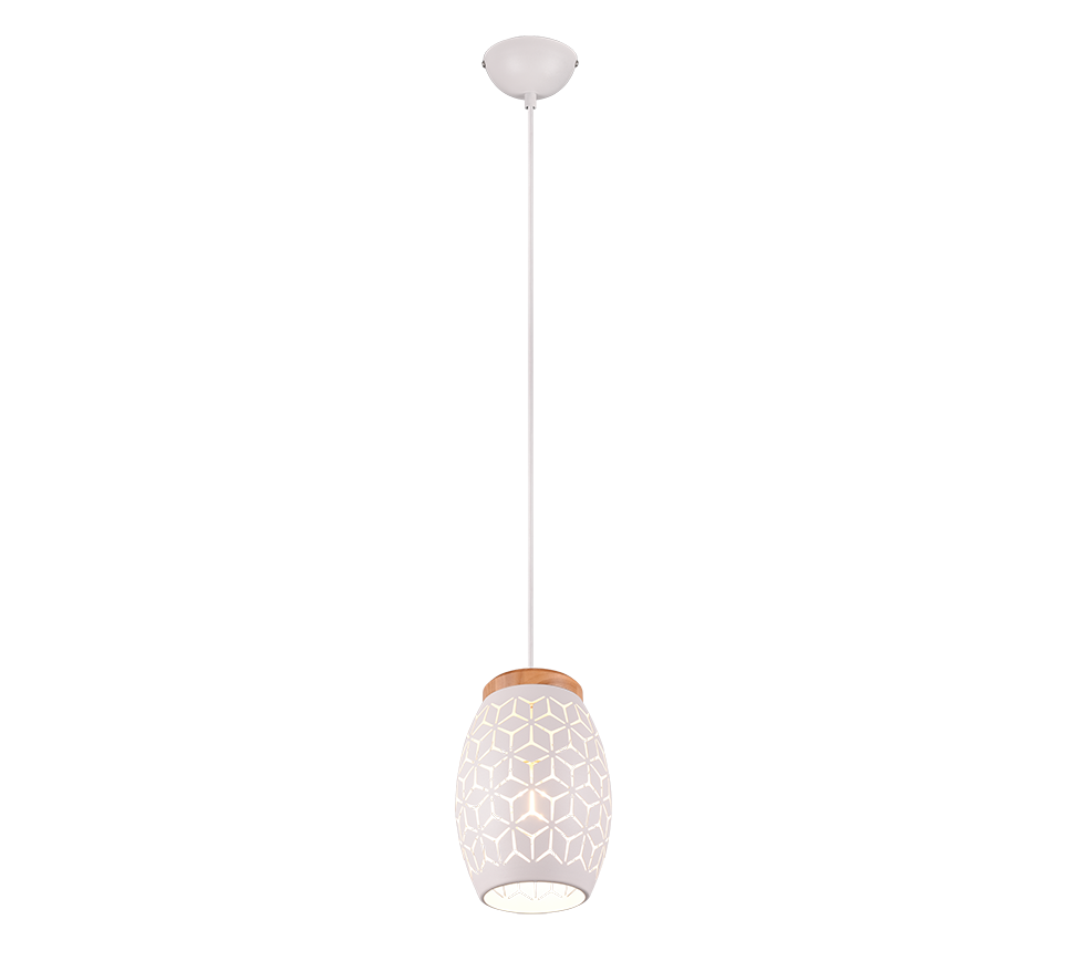 Bidar pendant 1-pc E27 matt white — R31571031
