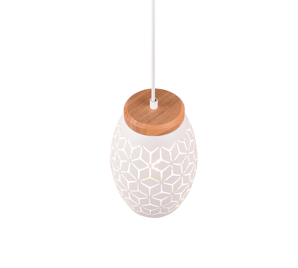Bidar pendant 1-pc E27 matt white — R31571031