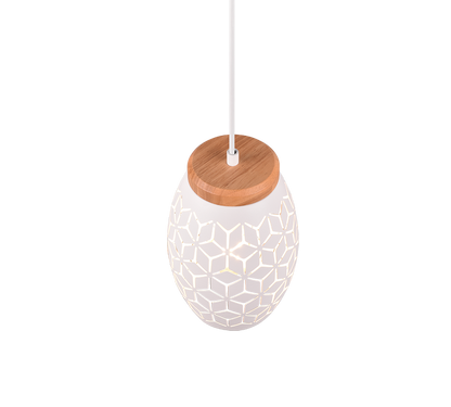 Bidar pendant 1-pc E27 matt white — R31571031