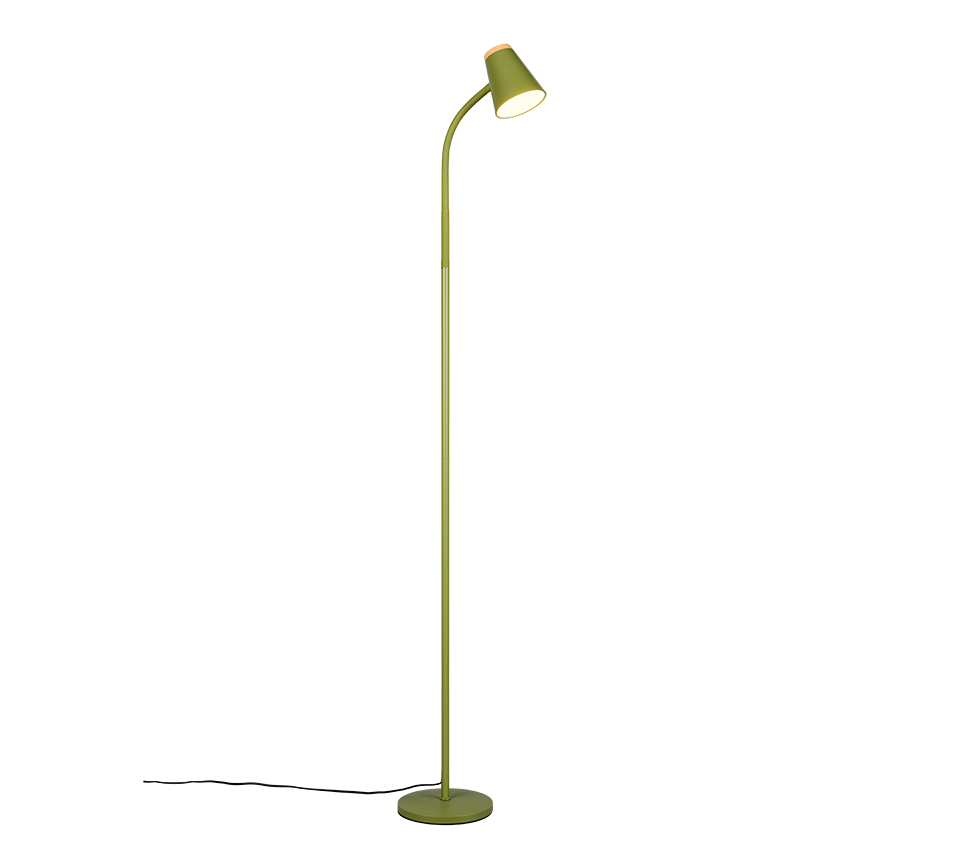 Pongo LED floor lamp green — R45831115