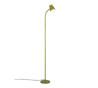 Pongo LED floor lamp green — R45831115
