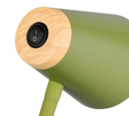 Pongo LED floor lamp green — R45831115