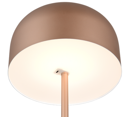 Jeff LED floor lamp coffee brown rechargeable — R49151165
