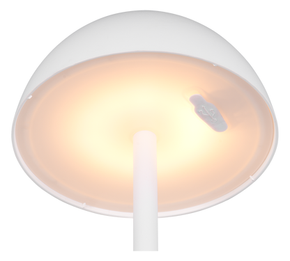Ricardo LED outdoor table lamp matt white rechargeable — R54106131