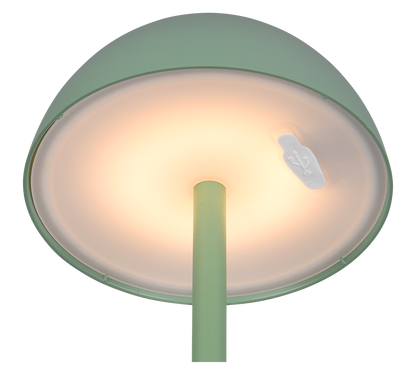 Ricardo LED outdoor table lamp pistachio rechargeable — R54106149