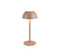 Ricardo LED outdoor table lamp coffee brown rechargeable — R54106165
