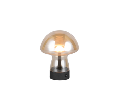 Dooley LED table lamp amber rechargeable — R54981113