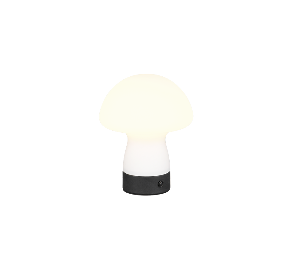 Dooley LED table lamp matt white rechargeable — R54981131