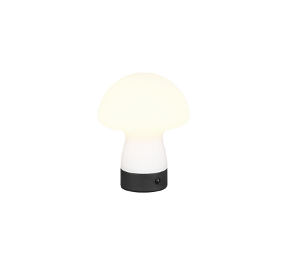 Dooley LED table lamp matt white rechargeable — R54981131