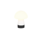 Dooley LED table lamp matt white rechargeable — R54981131