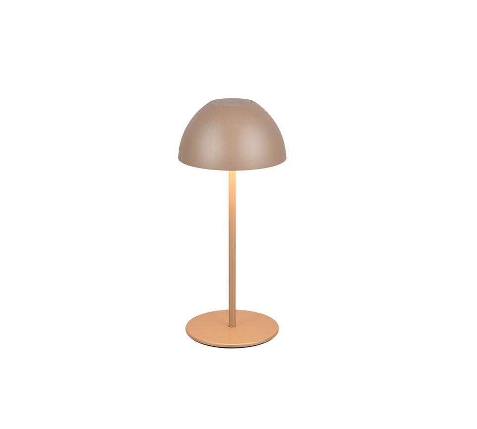 Ortiz LED table lamp coffee brown rechargeable — R55601165