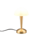 Canaria table lamp E14 (incl.) matt brass — R59561108