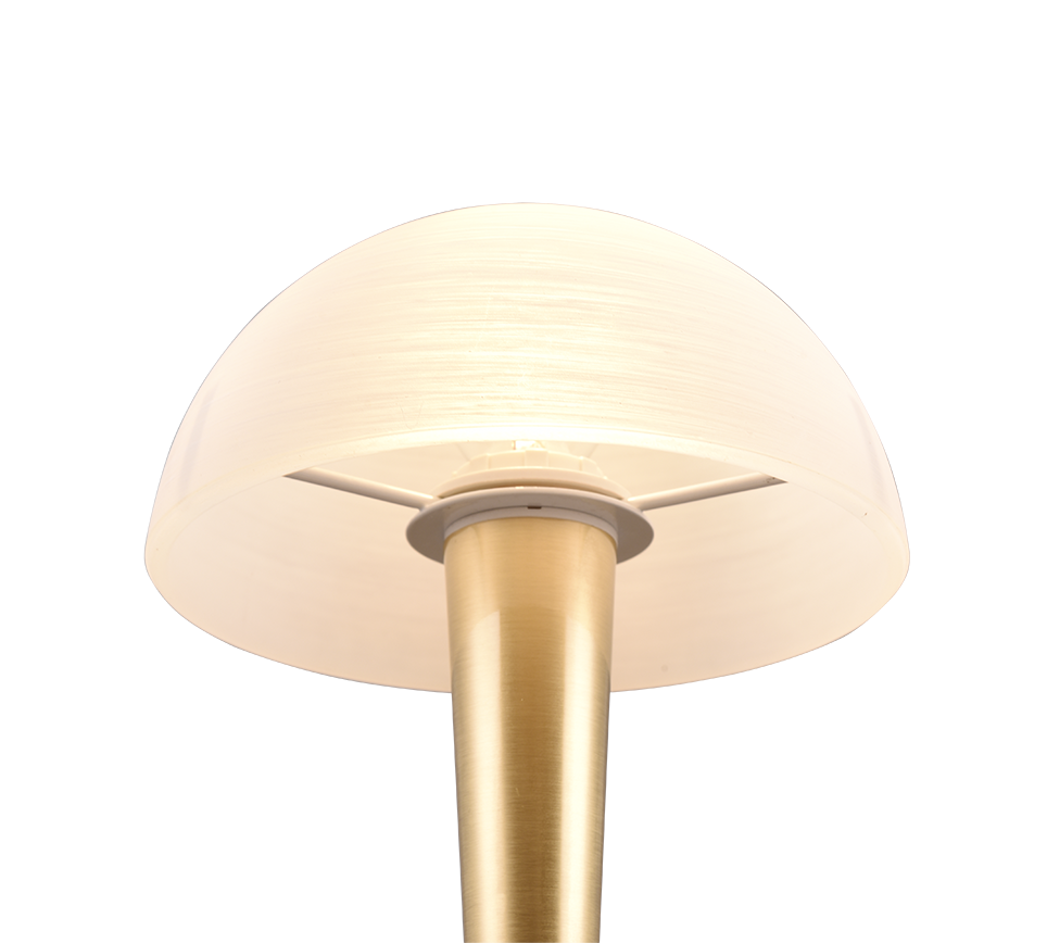 Canaria table lamp E14 (incl.) matt brass — R59561108