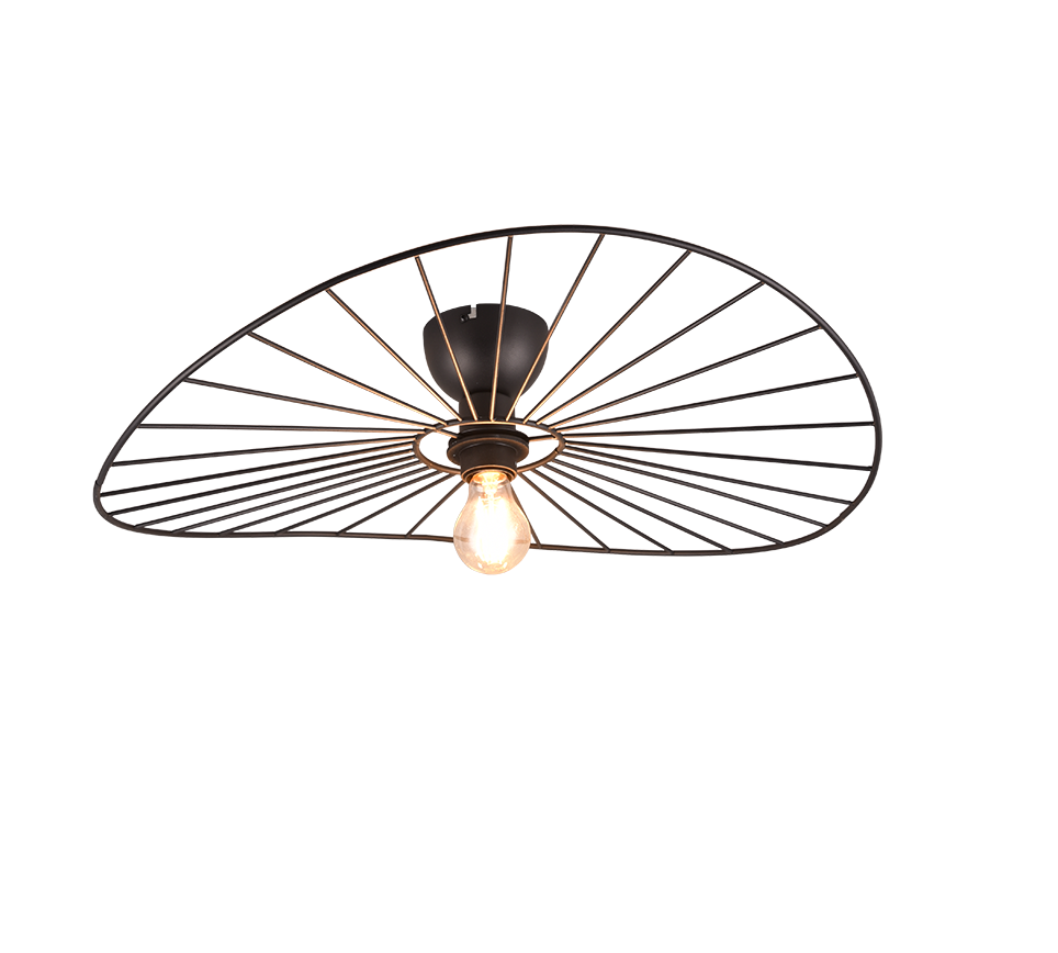Chapeau ceiling lamp E27 matt black — R61451032