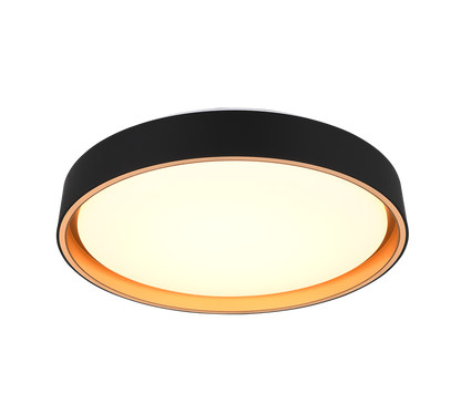 Felis LED ceiling lamp 40 cm black/gold — R64391080