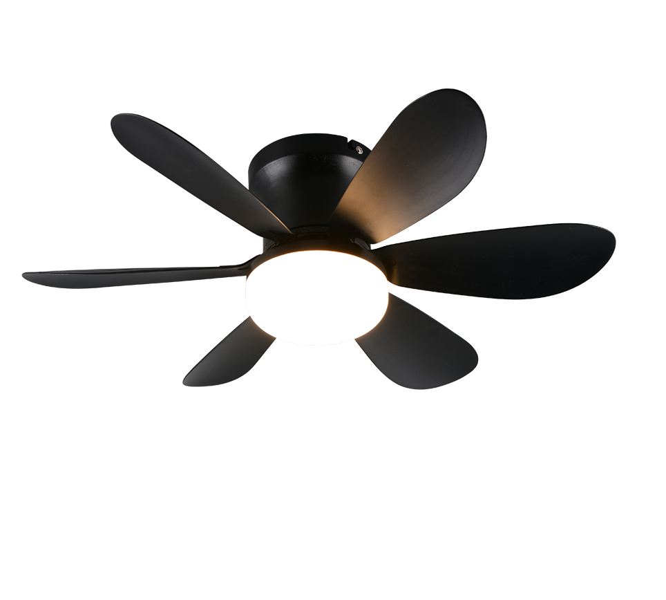 Lund LED ceiling fan matt black — R67462132