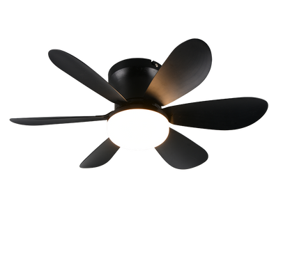 Lund LED ceiling fan matt black — R67462132