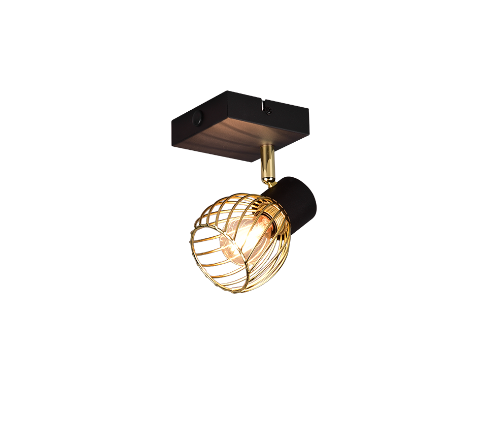 Ardon spotlight 1-pc E14 matt black/polished brass — R81381080