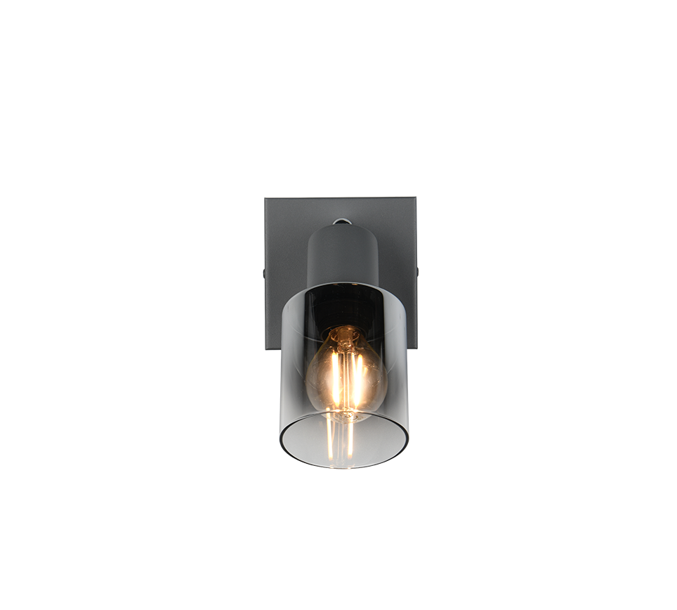 Cadiz spot 1-pc E14 anthracite/chrome plated — R81781042