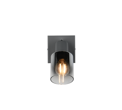 Cadiz spot 1-pc E14 anthracite/chrome plated — R81781042