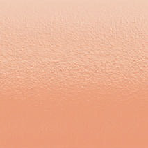 finish::Colour::RA100E